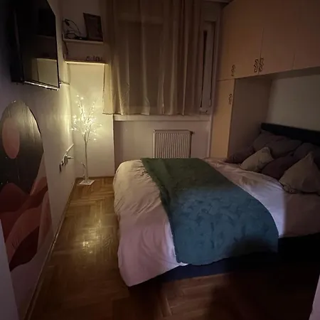 Shewolf Novi Sad