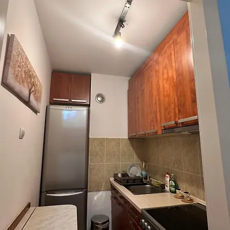 Apartment Shewolf